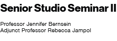 senior studio II